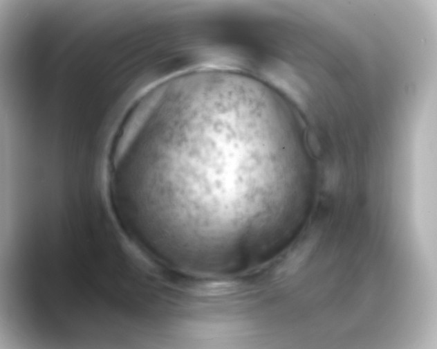 X0000088831471200706211806