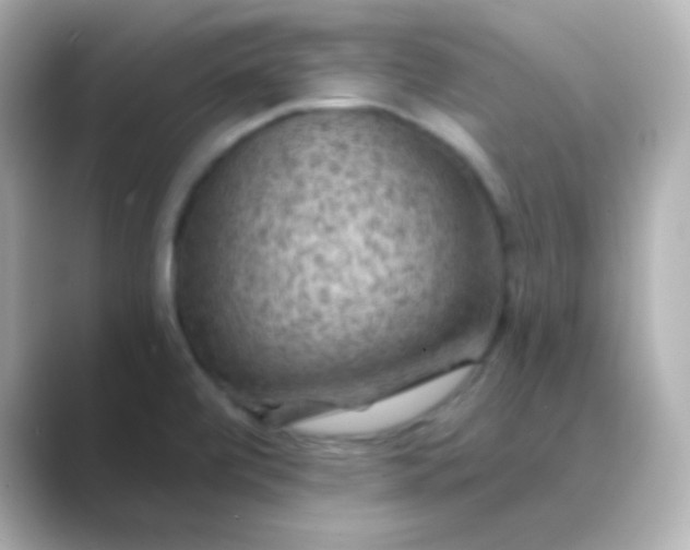 X0000088831472200706211806