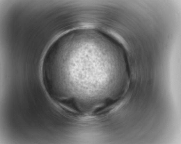 X0000088831475200706211806