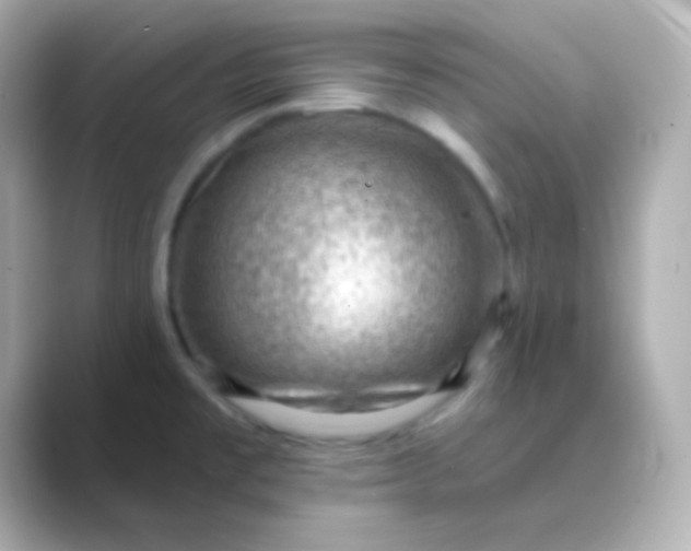 X0000088831477200706211806