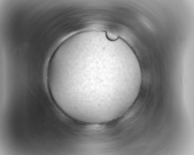 X0000088831478200706211806