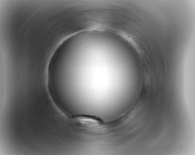 X0000088831479200706211806