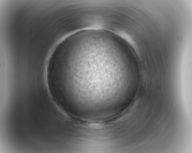 X0000088831480200706211806