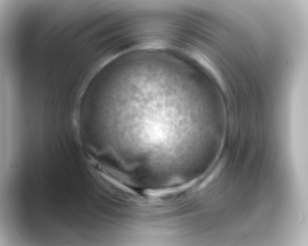 X0000088831481200706211806