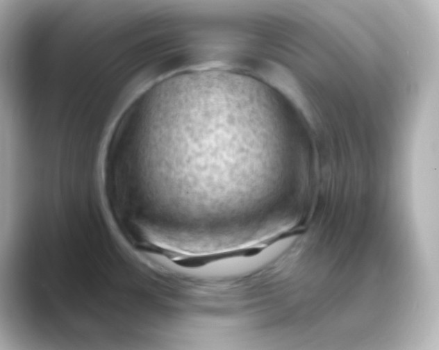 X0000088831483200706211806