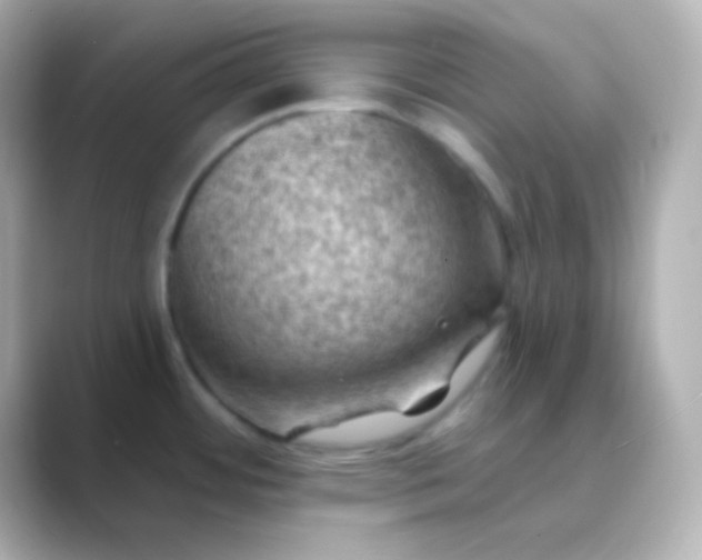 X0000088831484200706211806