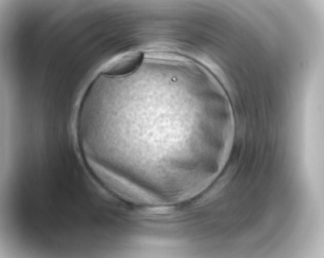 X0000088831486200706211806