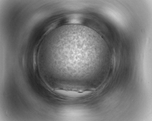 X0000088831487200706211806