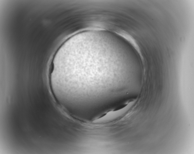 X0000088831488200706211806