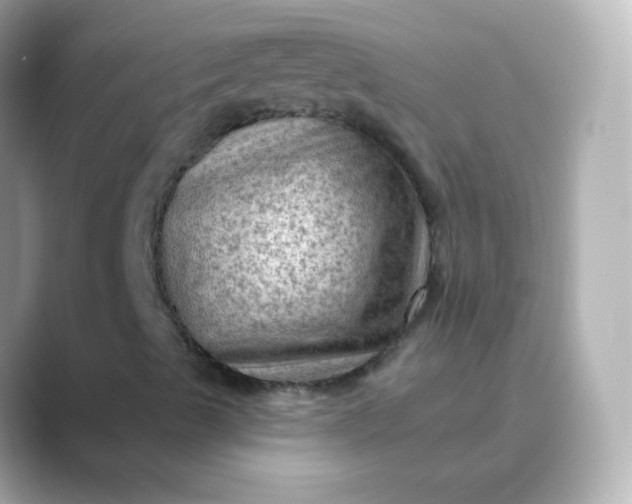 X0000088831489200706211805