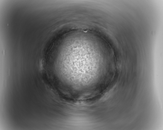 X0000088831490200706211805