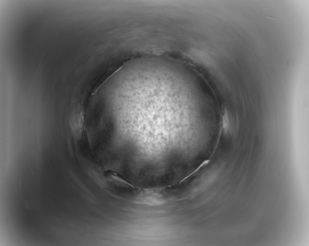 X0000088831492200706211805