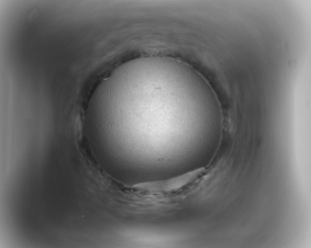 X0000088831493200706211805