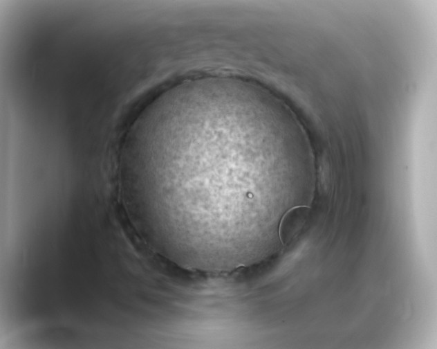 X0000088831494200706211805