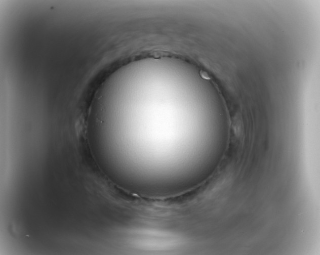 X0000088831495200706211805