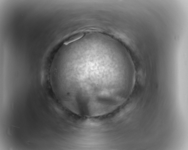 X0000088831496200706211805