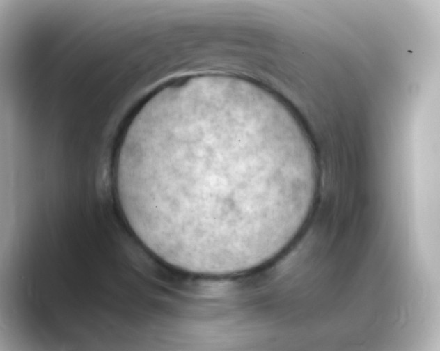 X0000088831498200706211805