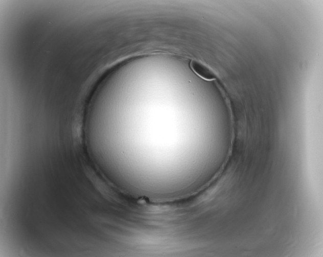 X0000088831499200706211805