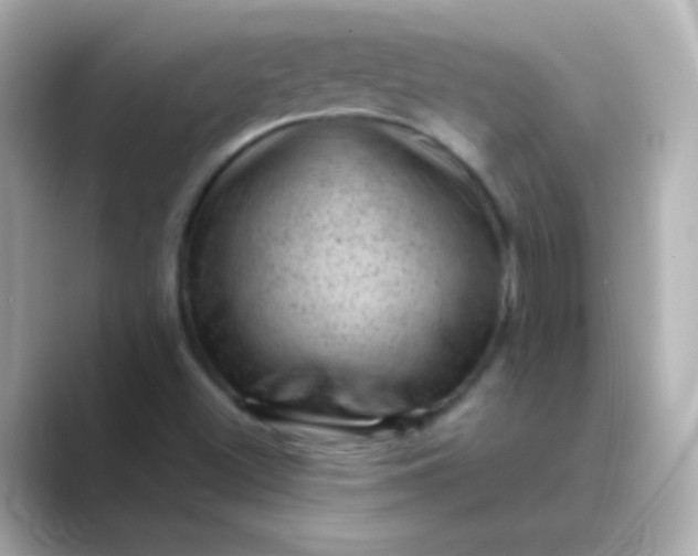 X0000088831500200706211805