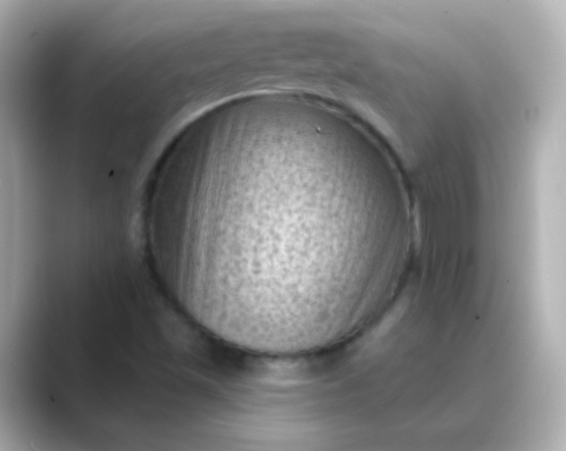 X0000088831501200706211805