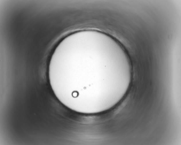 X0000088831502200706211805