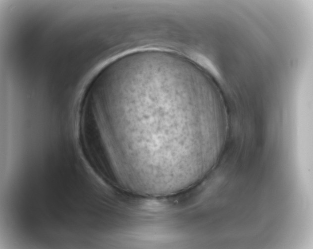 X0000088831504200706211805