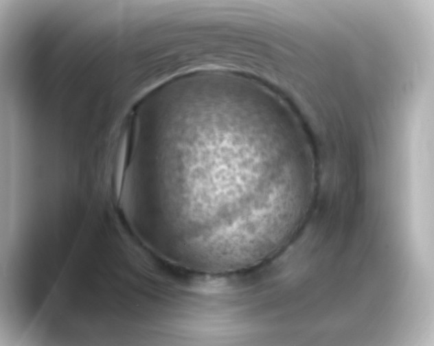 X0000088831505200706211805