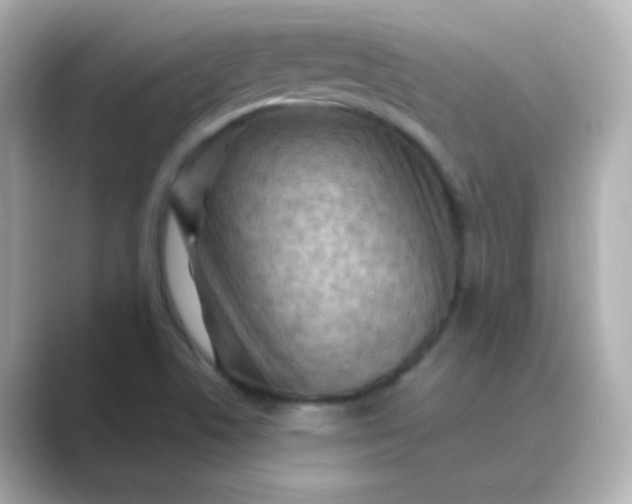 X0000088831506200706211805