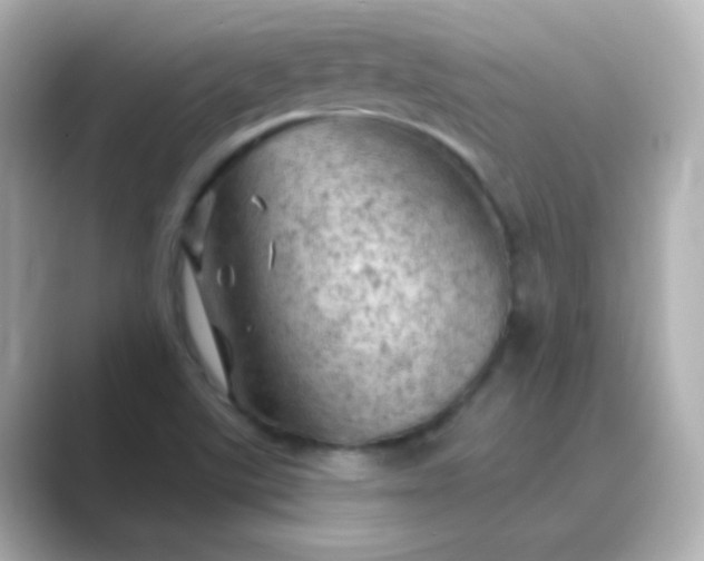 X0000088831507200706211805