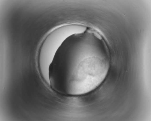 X0000088831508200706211805