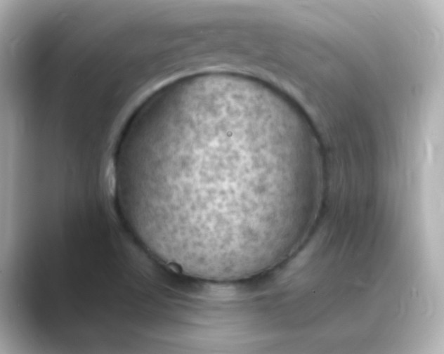 X0000088831509200706211805