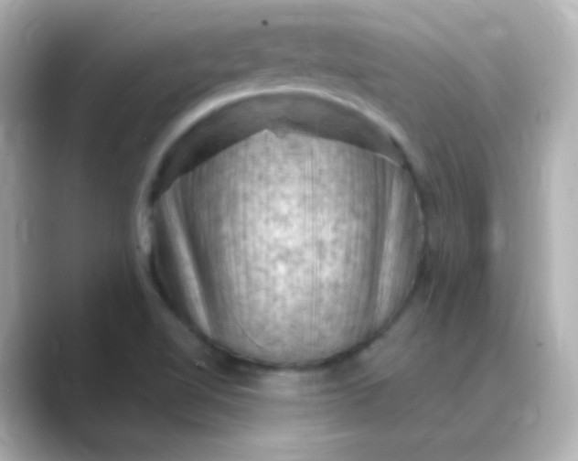 X0000088831510200706211805