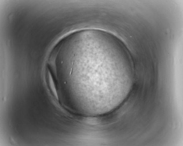 X0000088831511200706211805