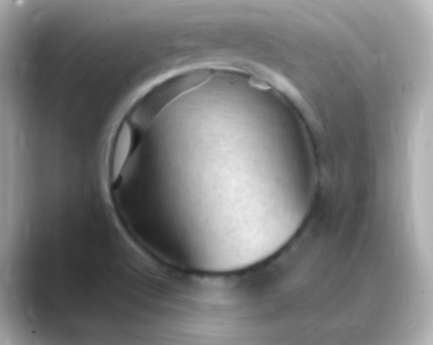 X0000088831512200706211805