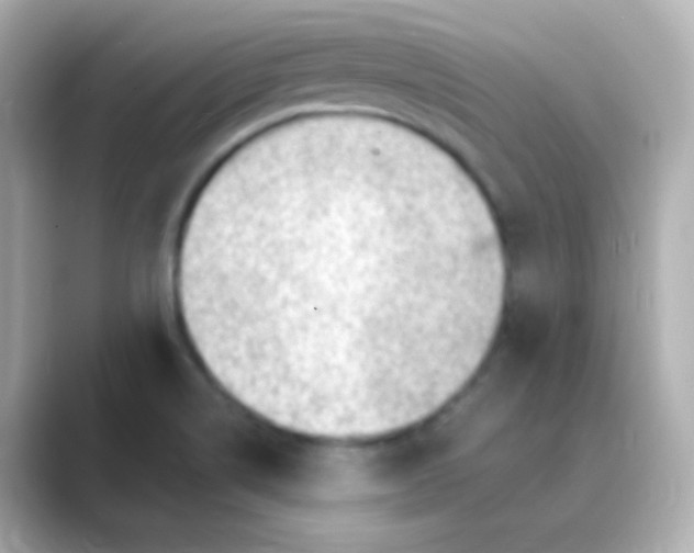 X0000088831514200706211805