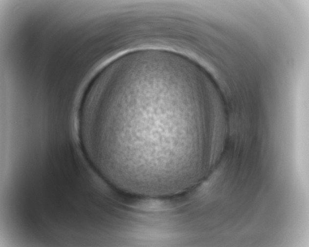 X0000088831517200706211805