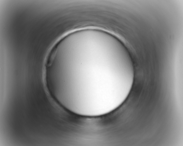 X0000088831518200706211805