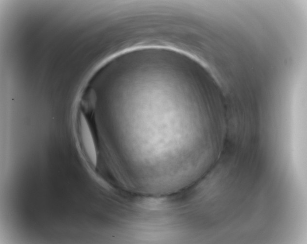 X0000088831519200706211805