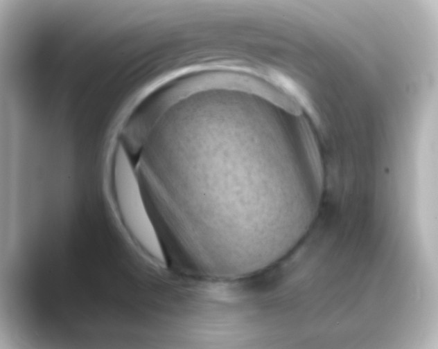 X0000088831520200706211805