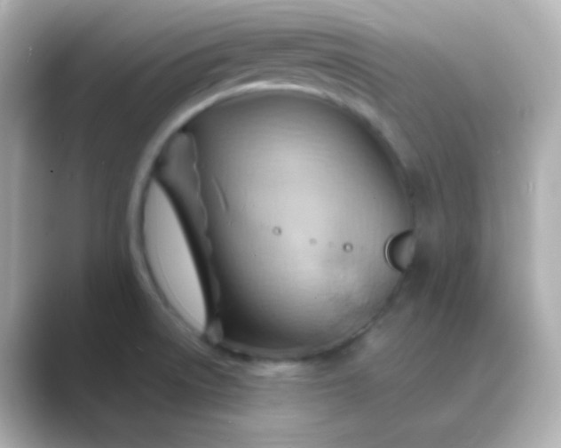 X0000088831522200706211805