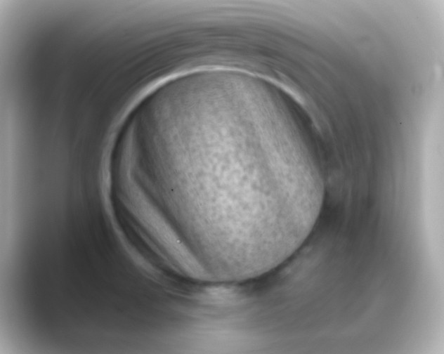 X0000088831523200706211805