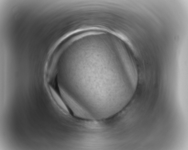 X0000088831524200706211806