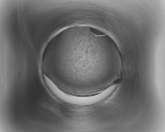 X0000088831525200706211806