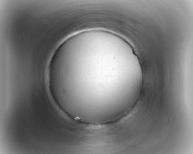 X0000088831526200706211806