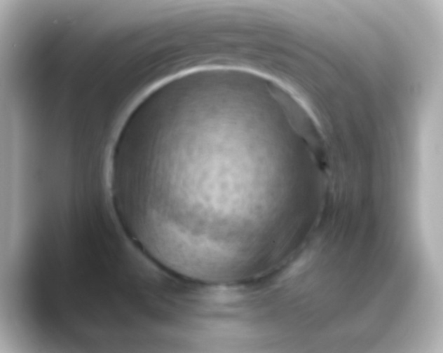 X0000088831527200706211806