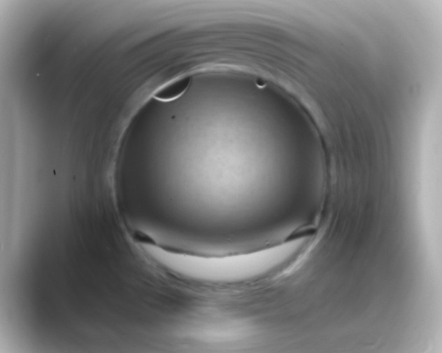 X0000088831529200706211806