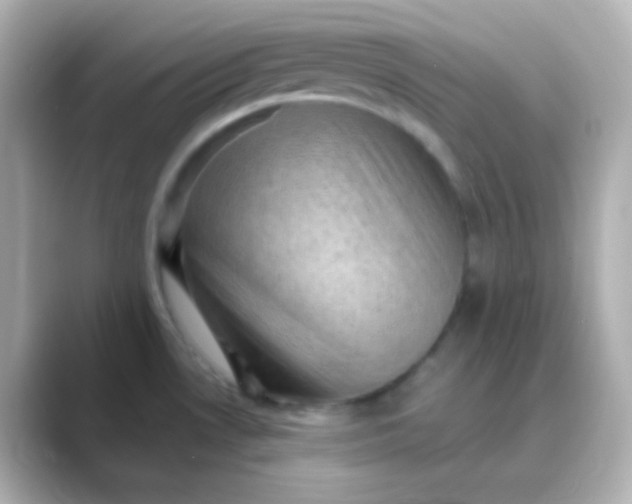 X0000088831530200706211806