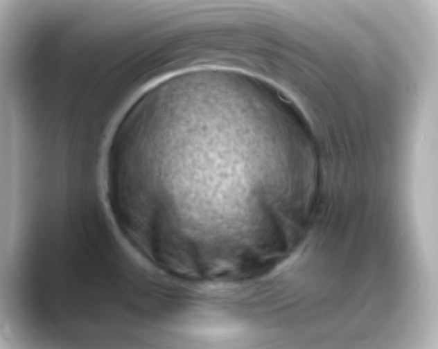 X0000088831531200706211806