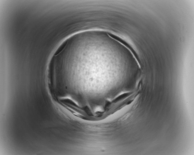 X0000088831532200706211806