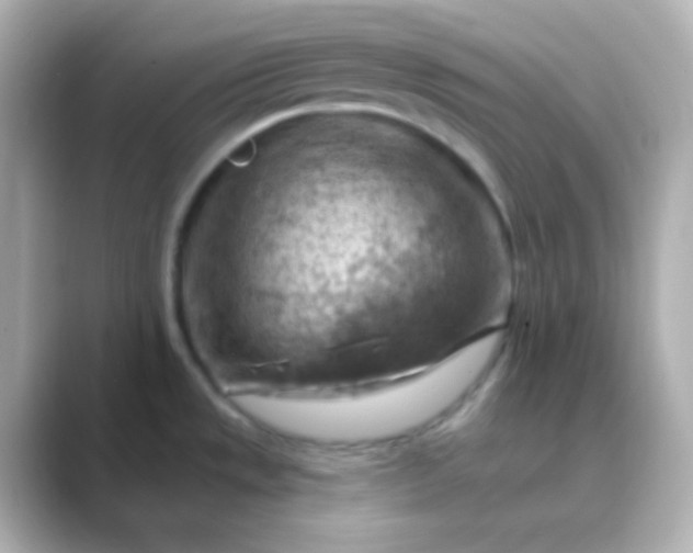 X0000088831533200706211806